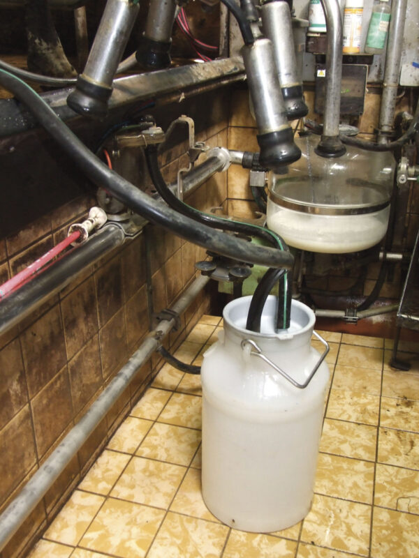 SEPARADOR DE LECHE 12 L - 20 L - Imagen 2