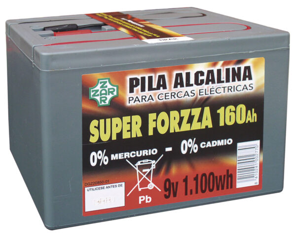 PILA FORZZA ALCALINA 160 A / h. 9 V. 1.100 W. hora