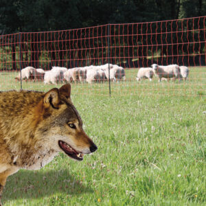 MALLA PARA ANIMALES  SALVAJES. 50 m